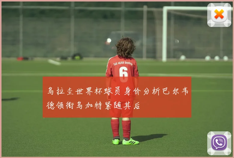 乌拉圭世界杯球员身价分析巴尔韦德领衔乌加特紧随其后
