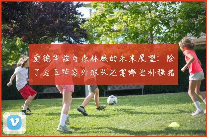 爱德华兹与森林狼的未来展望：除了后卫阵容外球队还需哪些补强措施