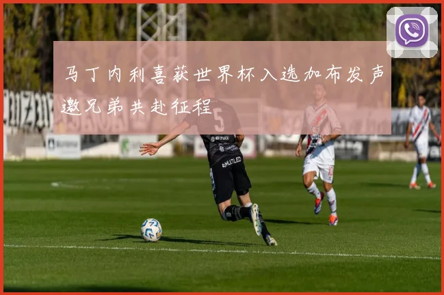 马丁内利喜获世界杯入选加布发声邀兄弟共赴征程