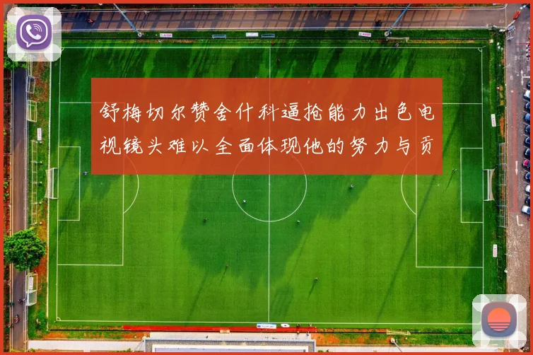 舒梅切尔赞舍什科逼抢能力出色电视镜头难以全面体现他的努力与贡献